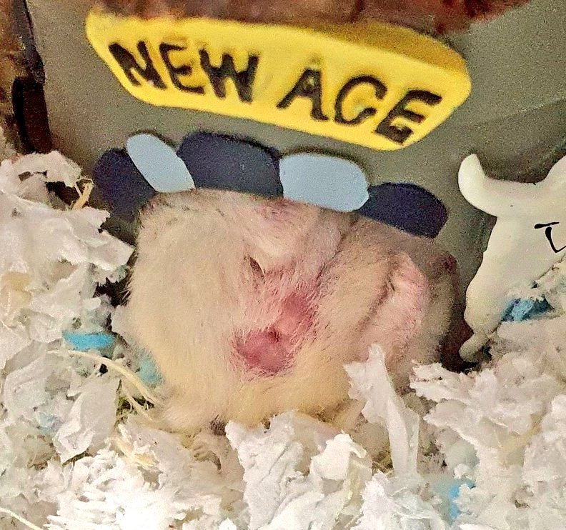 맞아요 잘땐 더웃김