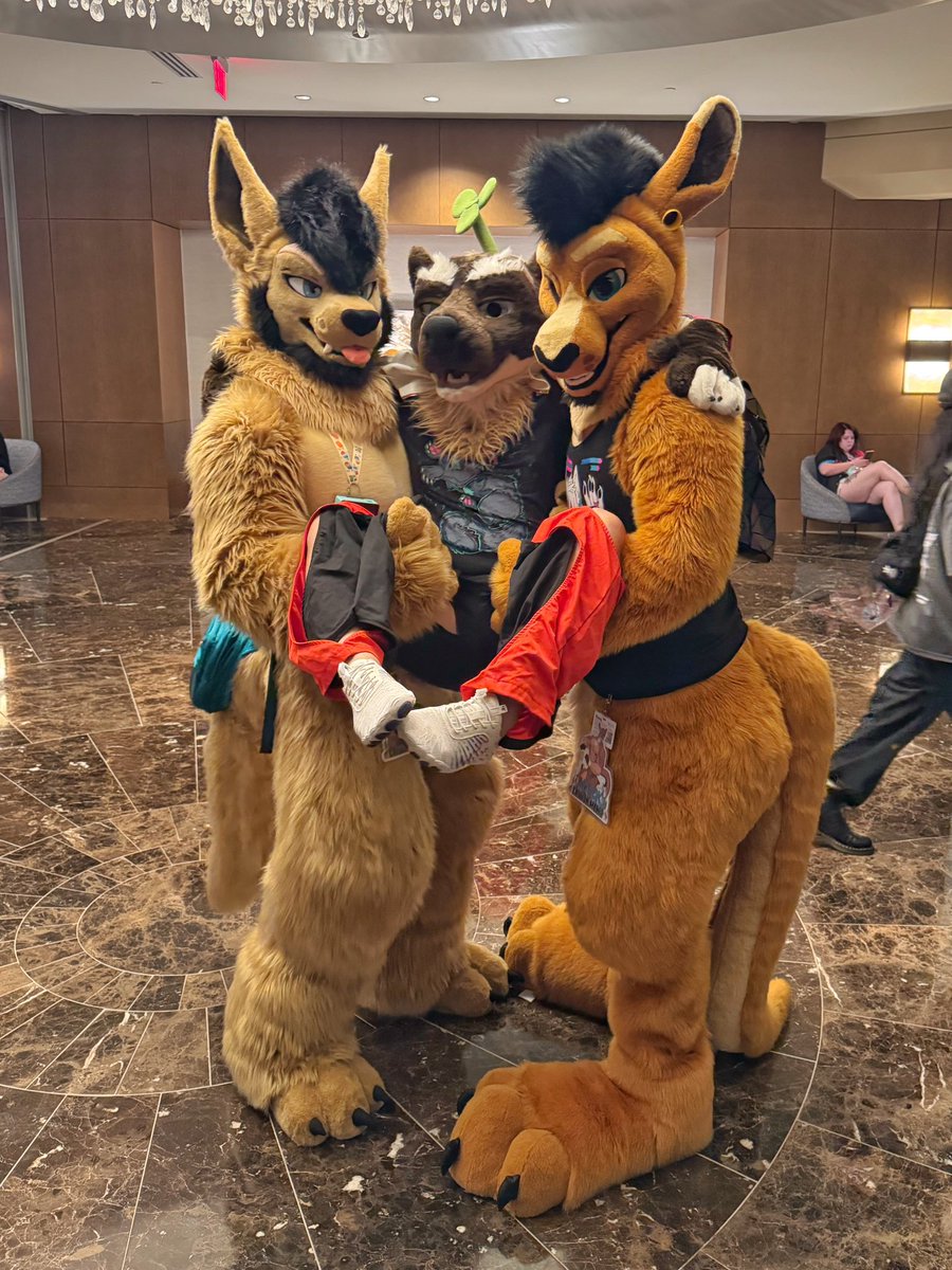God, I'm in danger 😵‍💫

<a href="/VexedLupine/">🦘Seff - Larger Than Your Average Roo</a> <a href="/grumpymackaroo/">Mackaroo</a>