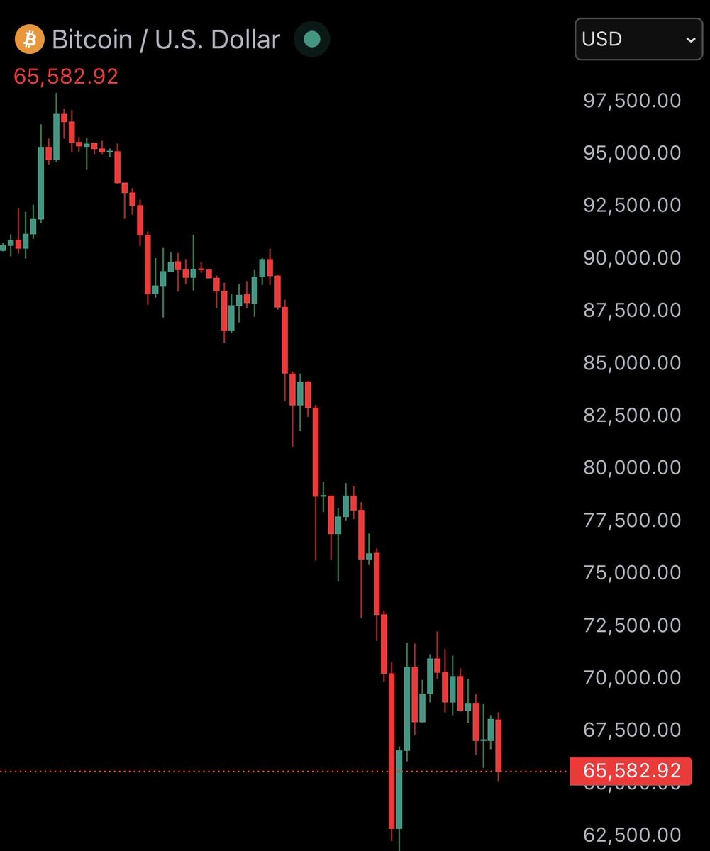 Bitcoin Junkies tweet media