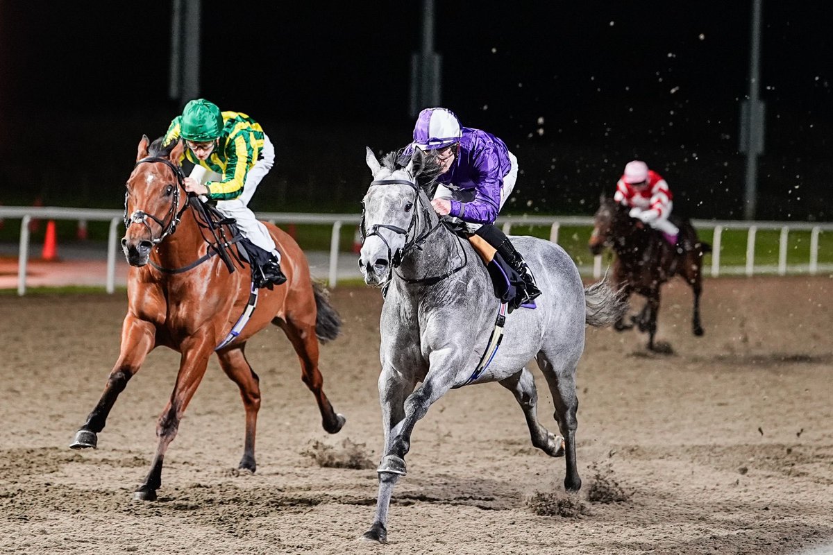 Kevin Philippart de Foy Racing tweet media