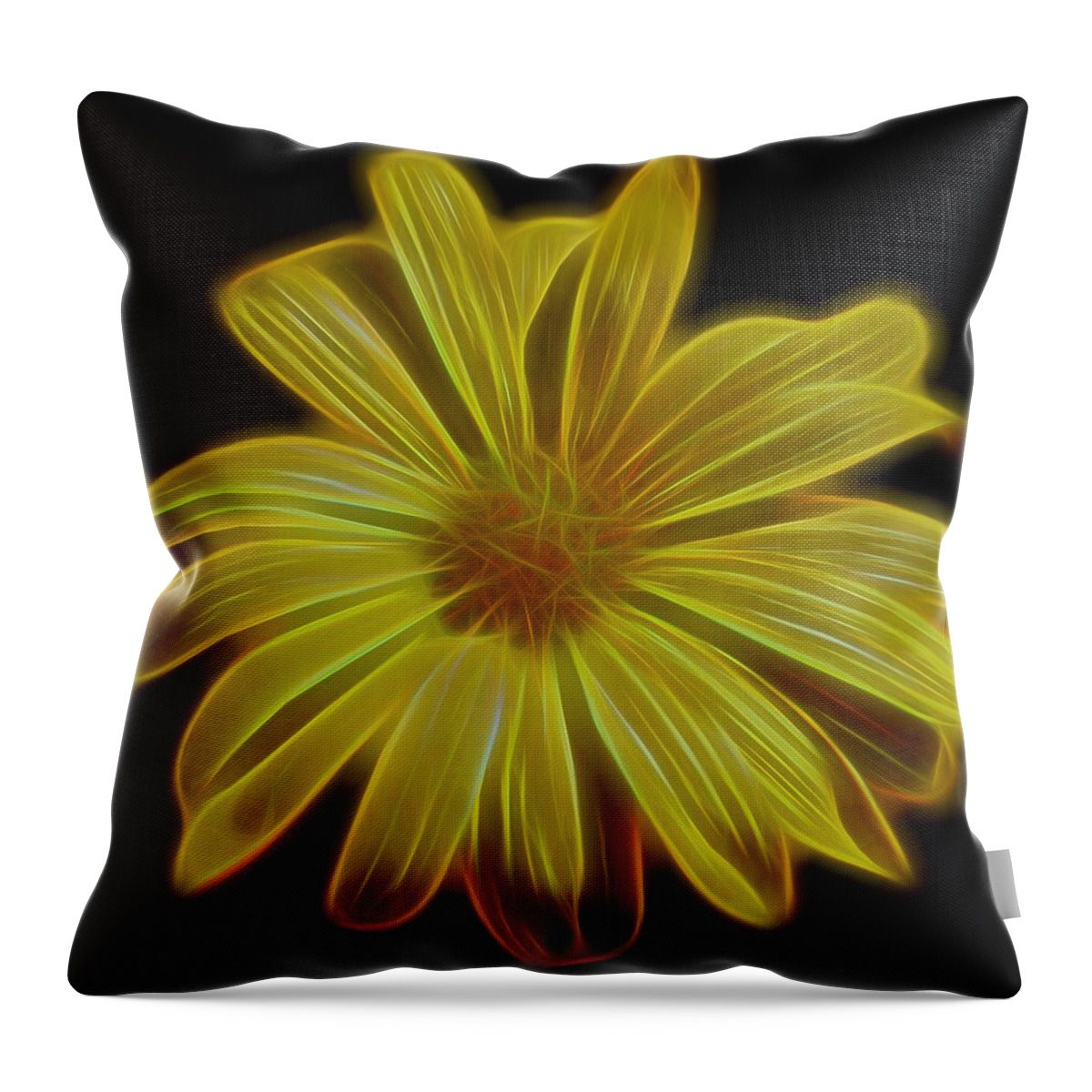 Judy Vincent Photography tweet media