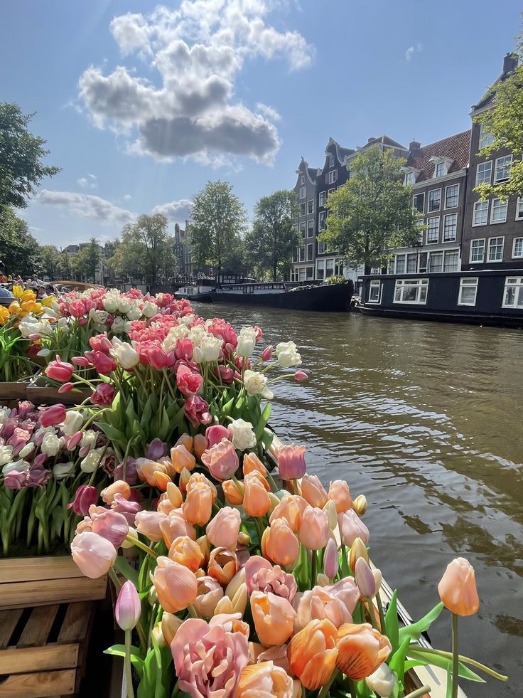 tutututututulip's tweet photo. https://t.co/NGHyvwPEra