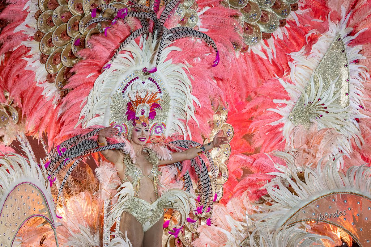 iavant 🏳️‍🌈 tweet media