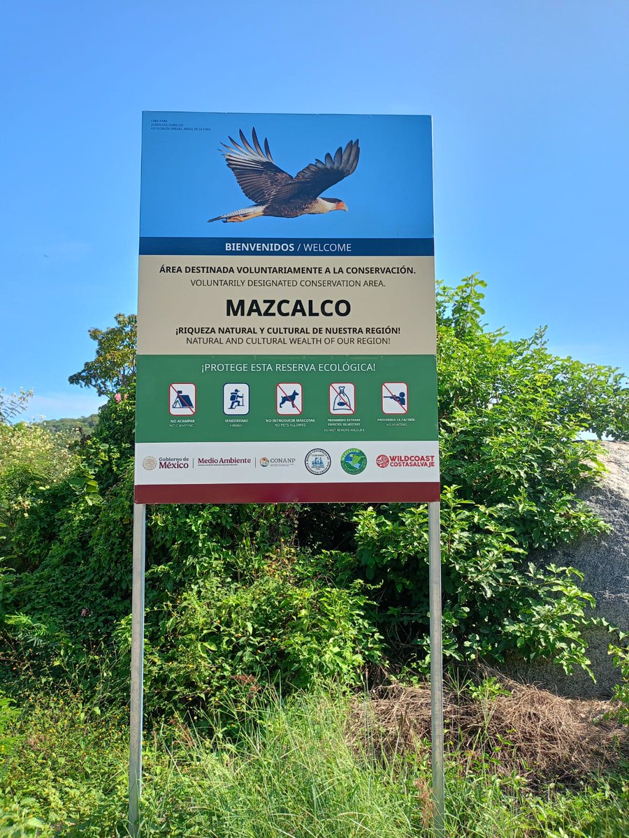 Pável Palacios Chávez tweet media