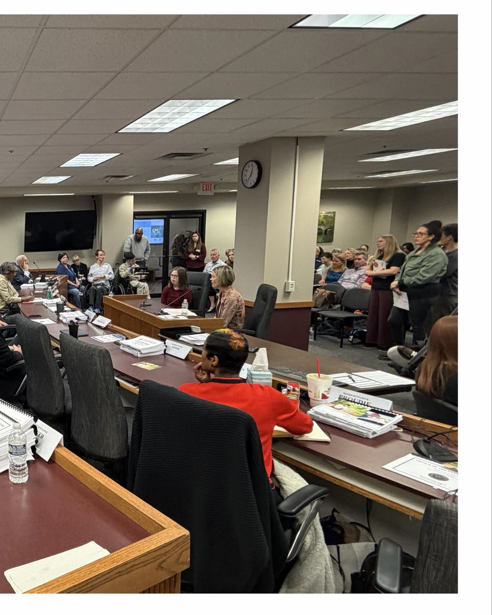 Big things are happening with advocacy this week, and it's because of YOU.

The MO House Budget Committee heard directly from advocates across the state about why DD services are so important 

We're encouraged, and we're just getting started.  #NoDDCuts