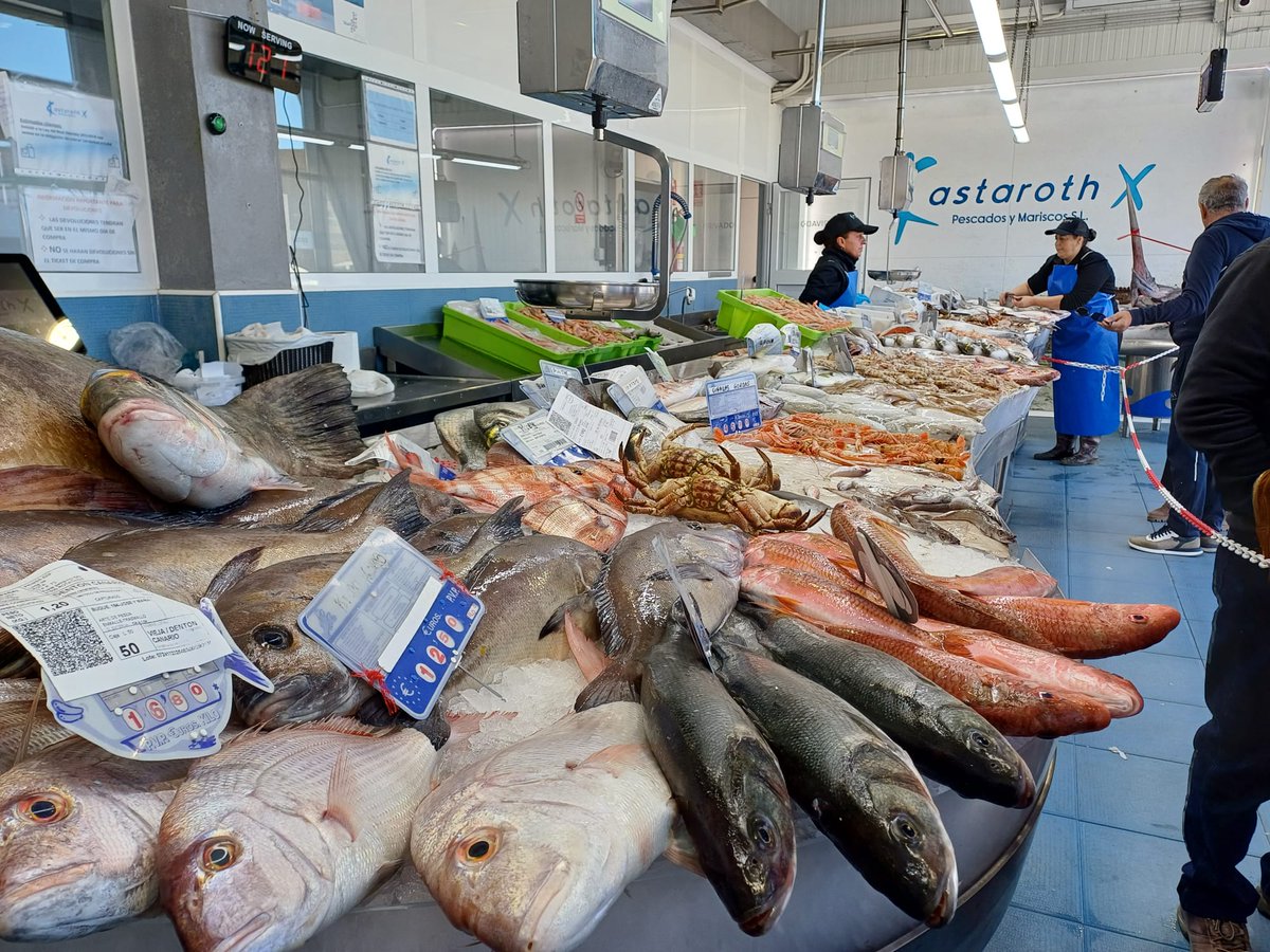 Uno de los mejores indicadores de que España 🇪🇸 no va bien, es que ha caido un 30% en los últimos 10 años el consumo percapita de pescado