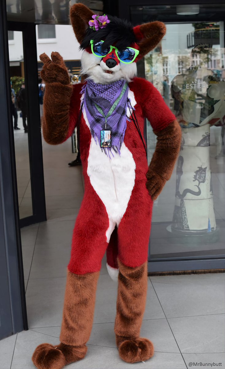 KimpZeDraws's tweet photo. @RykerTheShep @PhotographerFox This red fox will be there, say hi :3 https://t.co/LD6pXYAC3z