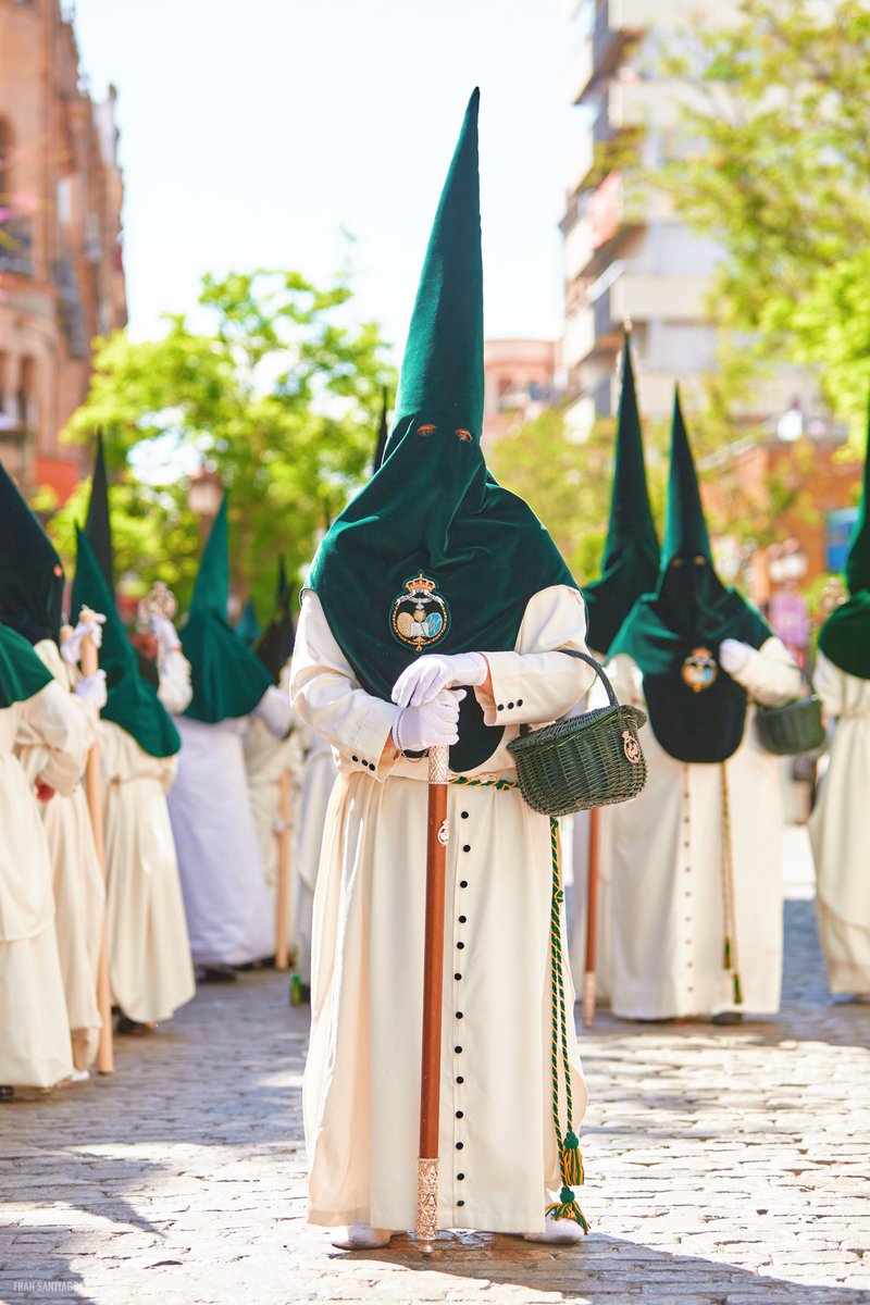 La figura del diputado de tramo.