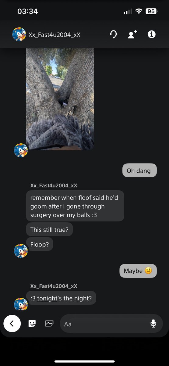 ShadeTailStudio tweet media