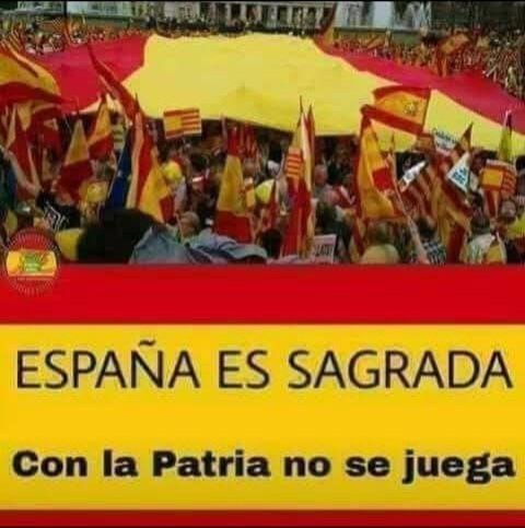 Francisco Javier tweet media