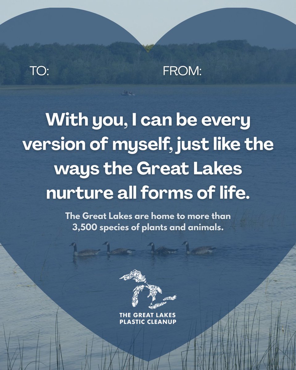 Great Lakes Plastic Cleanup tweet media