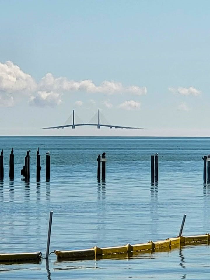 Looks like the Sunshine Skyway is floating above the Bay today.
It's not, just some pesky fog along our coast. More dense fog next few nights. 📷 Jamie Occhionero #Florida #TampaBay