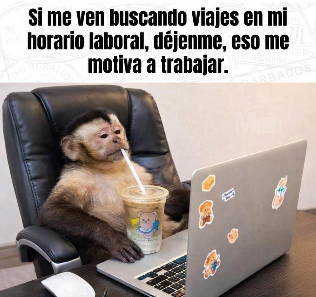 Salvador Iglesias Jr (@javisness) on Twitter photo 