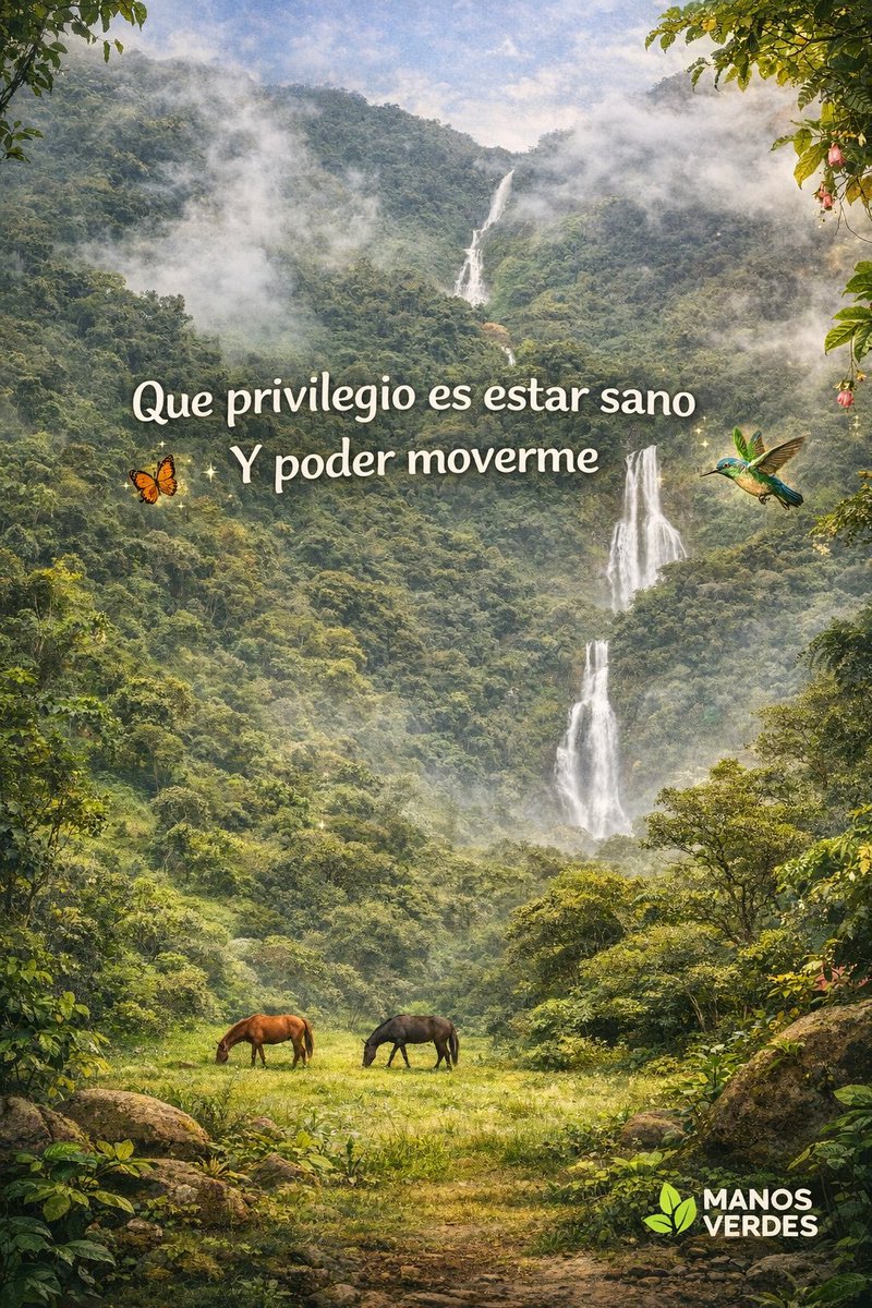 ManosVerdes_Org's tweet photo. https://t.co/KYFfAJvPC5