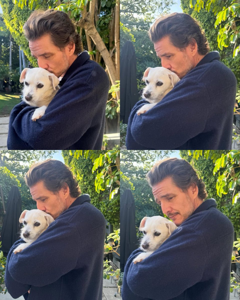 Pedro Pascal Daily tweet media