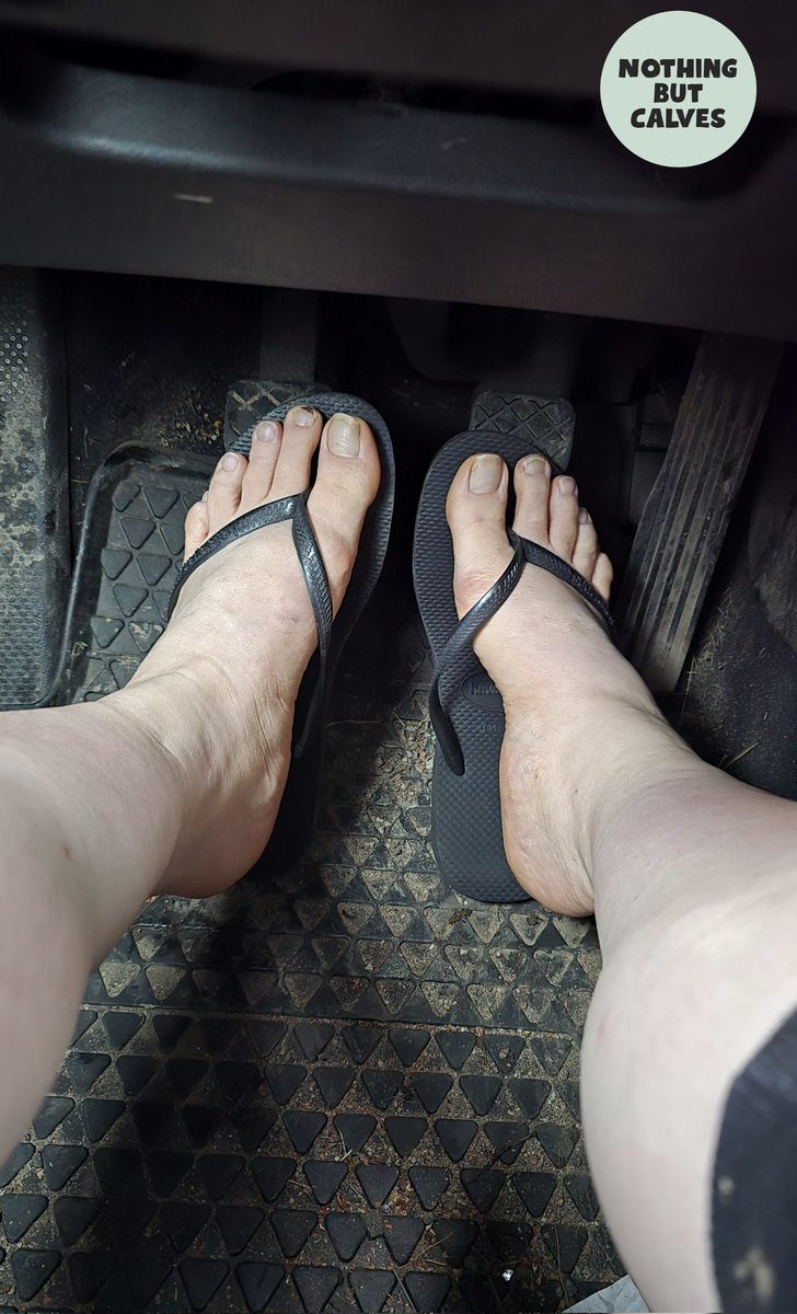 NothingBtCalves's tweet image. Would you go on a ride with me? 😜