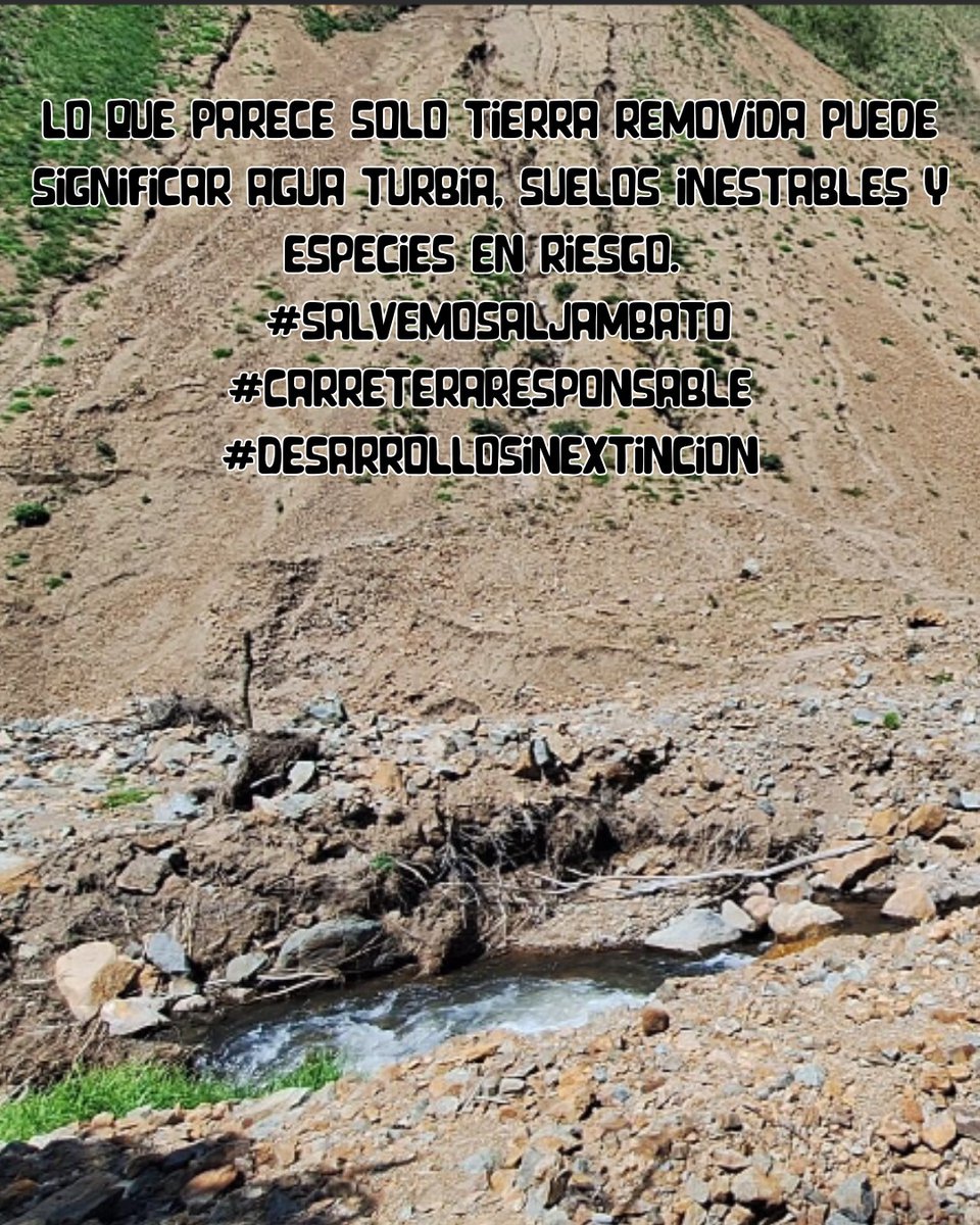 Cuando se destruye un hábitat, no hay vuelta atrás 🐸🛡️
Por eso el desarrollo debe ser responsable 🌿💚
<a href="/MuniRiobamba/">Municipio Riobamba</a> <a href="/GADPCotopaxi/">Prefectura Cotopaxi</a>
#DesarrolloSinExtinción #SalvemosAlJambato #CarreteraResponsable