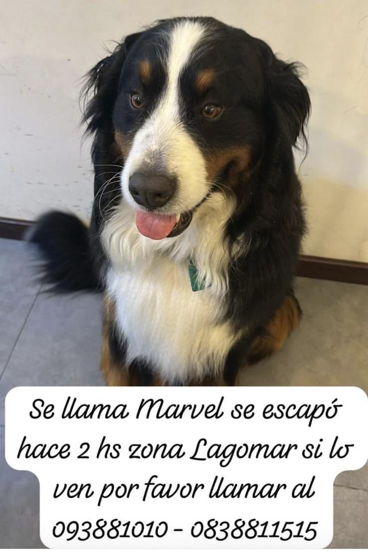 Martu Perez (@martusperez) on Twitter photo 