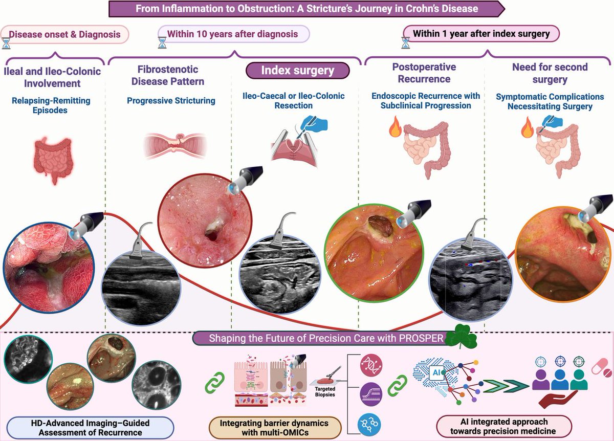 Gut Journal tweet media