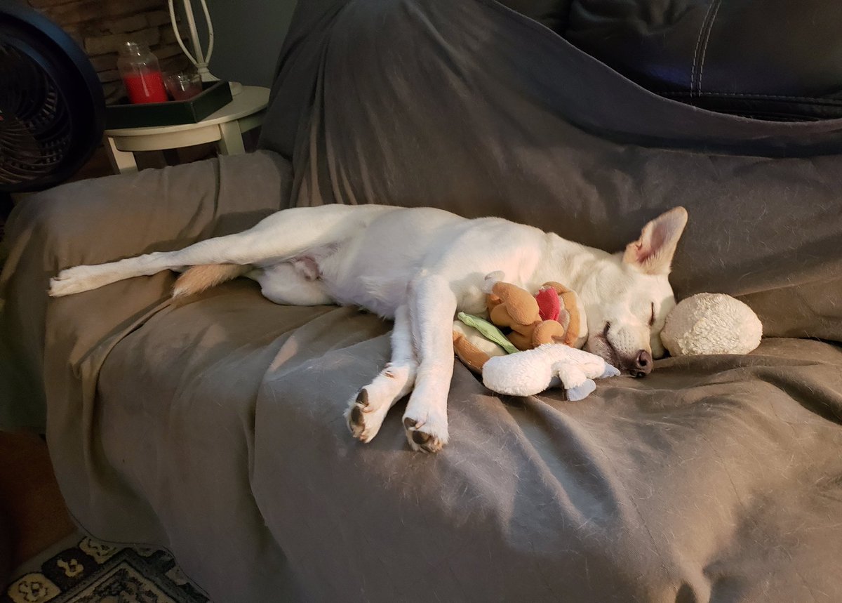 When playing with your toys wears you out.