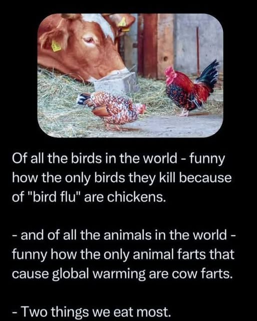 That's an awfully big coincidence isn't it?