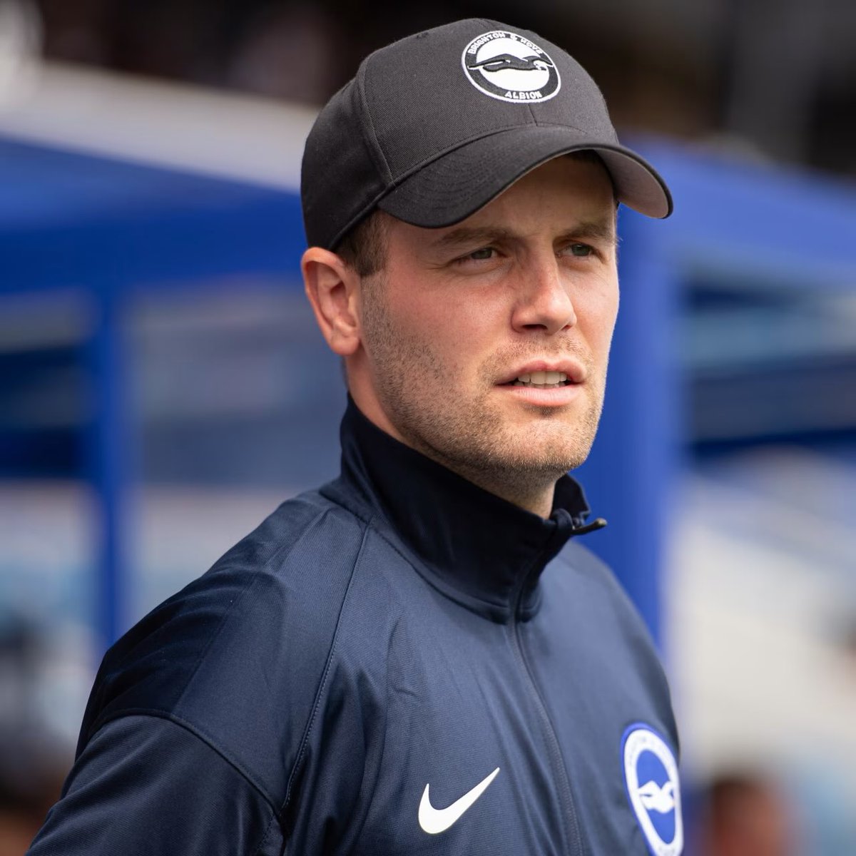 Brighton Bubble tweet media