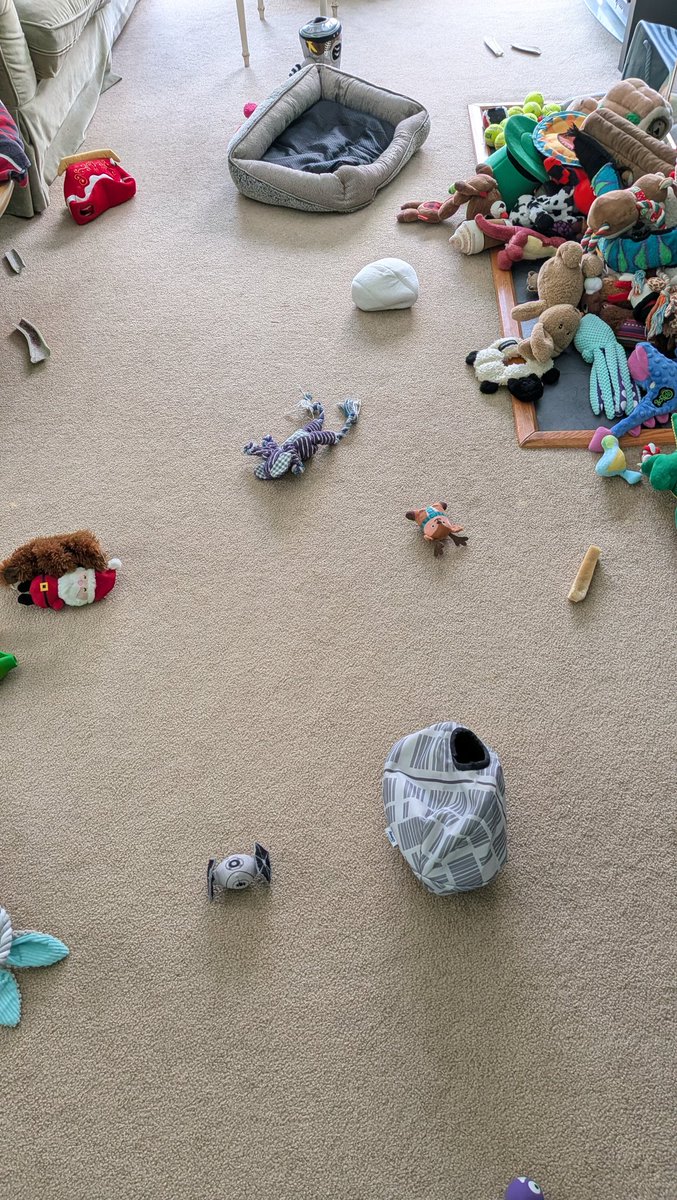 Someone hard at play today