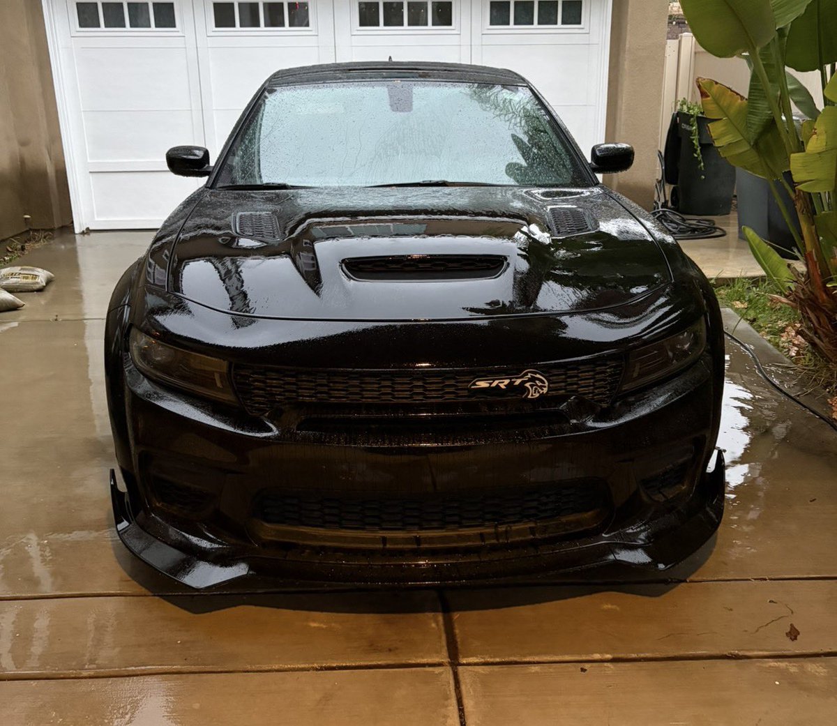 YaWifeInMeDms's tweet photo. @JDMorgan @Lauren2926 how’s my whip looking? https://t.co/ABjRv19mGo