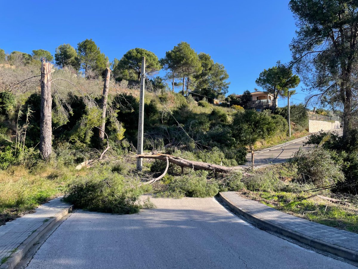 🔴 AFECTACIONS TEMPORAL

🚨 Ja s'ha superat el moment de màxima intensitat del #temporal de #vent i els efectius (personal municipal, Policia Local, #ADF i Bombers) continuen treballant per resoldre totes les incidències a #Olesa. 
fil