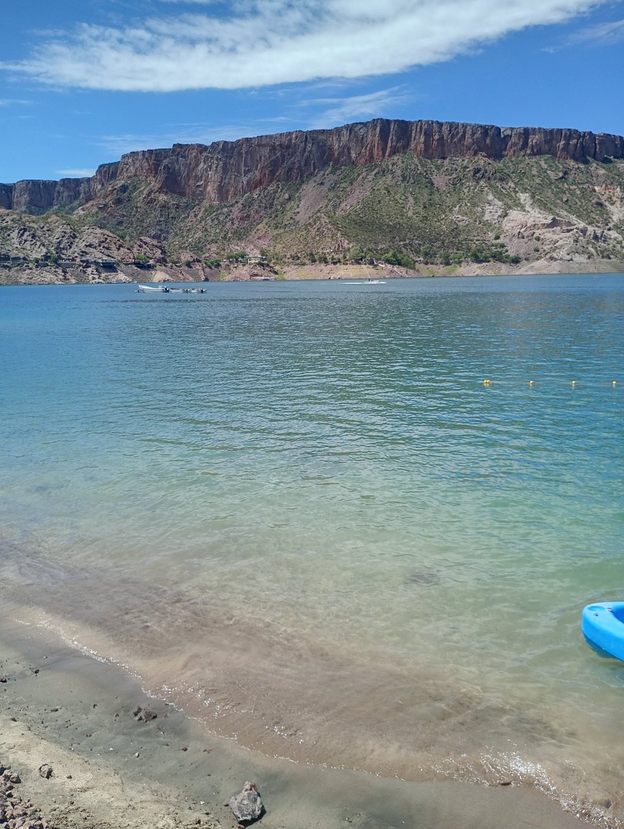 Ximenita 🤍❤️🤍 tweet media