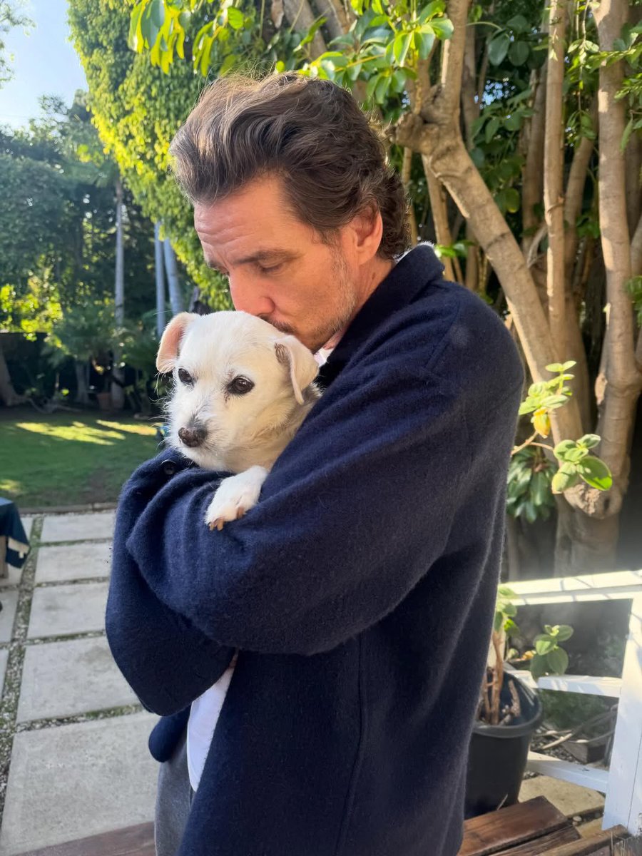 dinosaurpascal's tweet image. this is so boyfriend coded it hurts