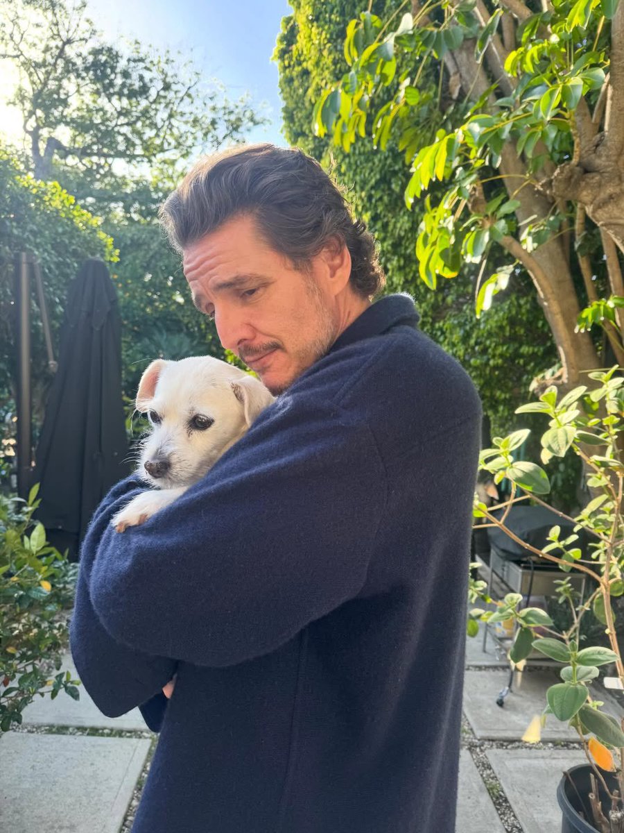 dinosaurpascal's tweet image. this is so boyfriend coded it hurts