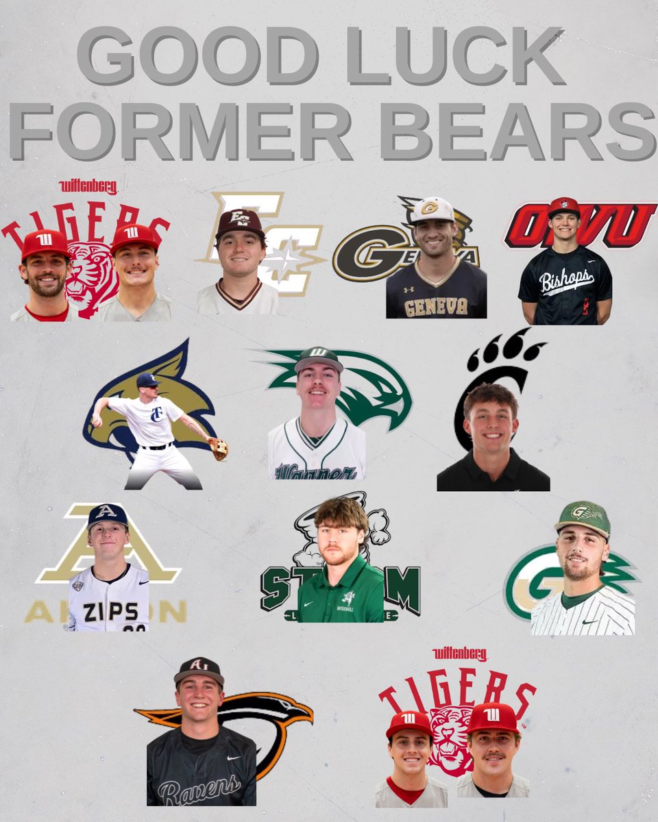 Berlin Bears Baseball tweet media