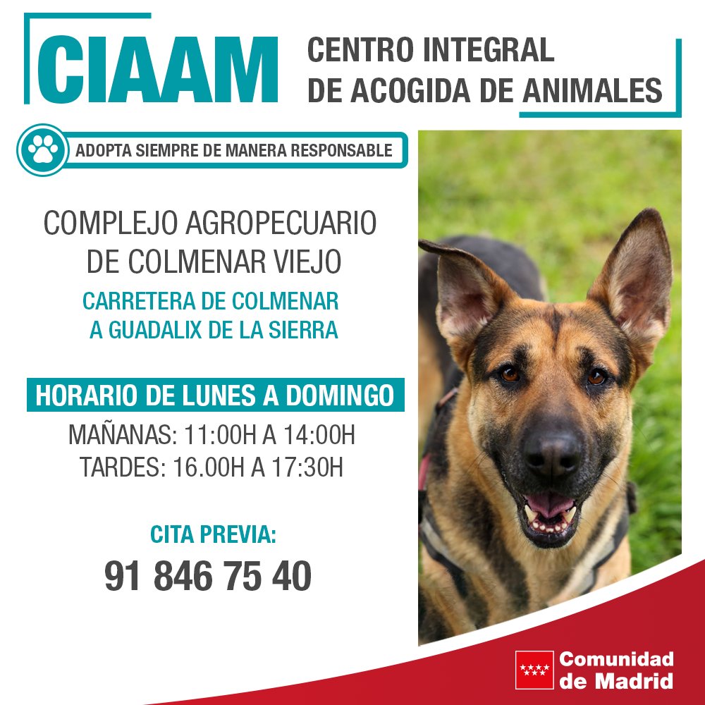 Comunidad de Madrid tweet media