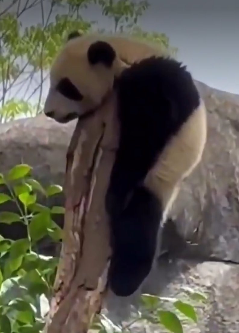 <a href="/TheFigen_/">The Figen</a> 🤣