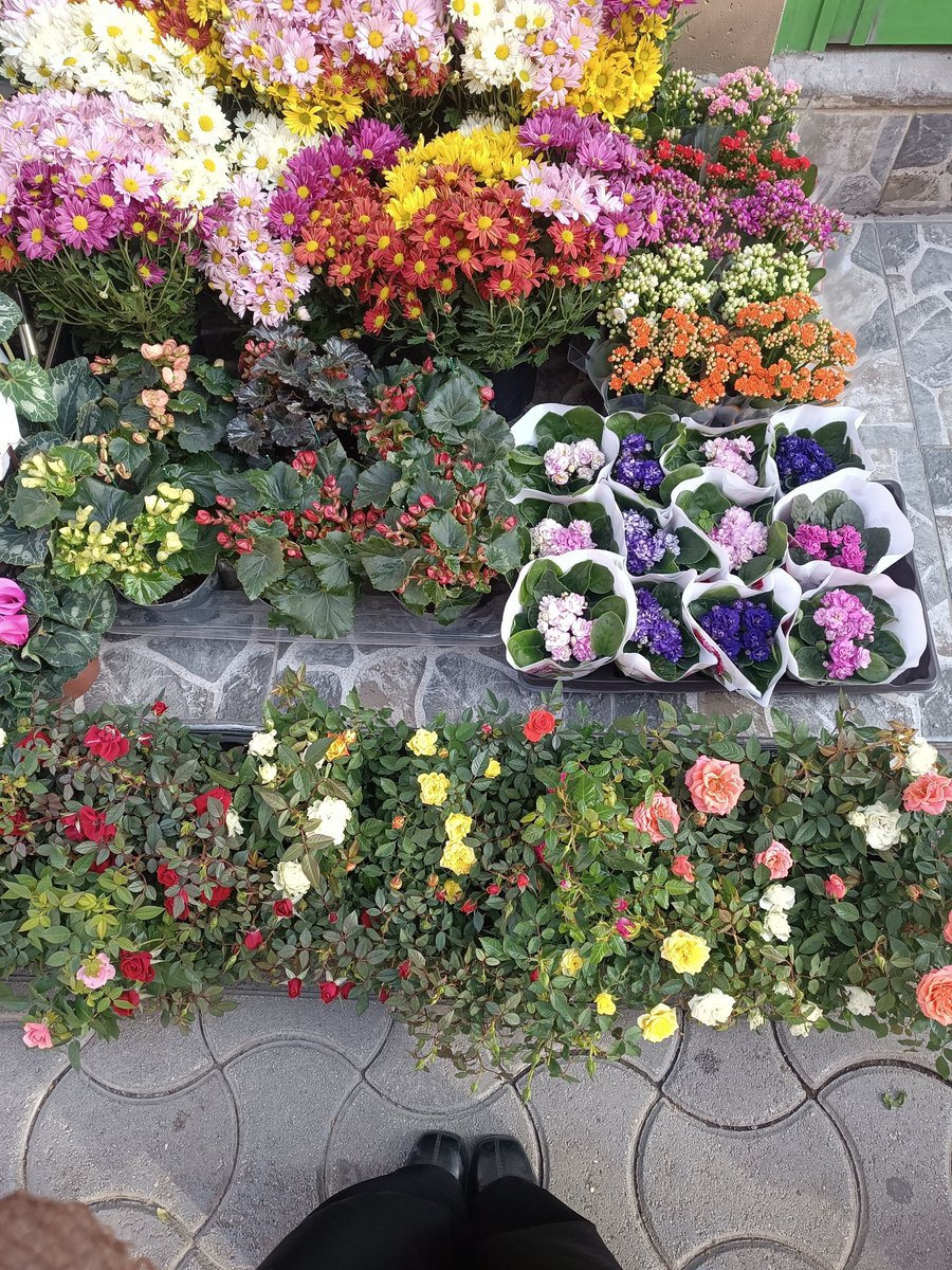 Cioran der: Aşka, hırsa, topluma sırt çevirenlerden kendinizi sakınınız.