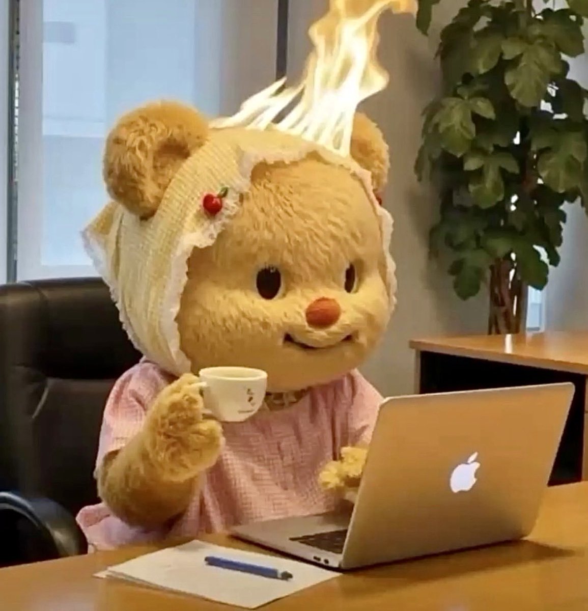 Siphokazi Matshidiso🤍🤍 tweet media