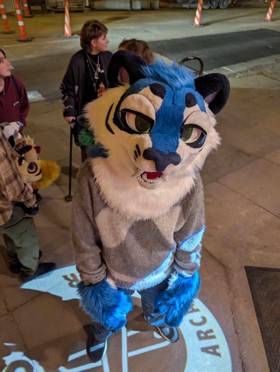 Blue tigers don't even ask if you're gay anymore they just ask if you listen to underscores