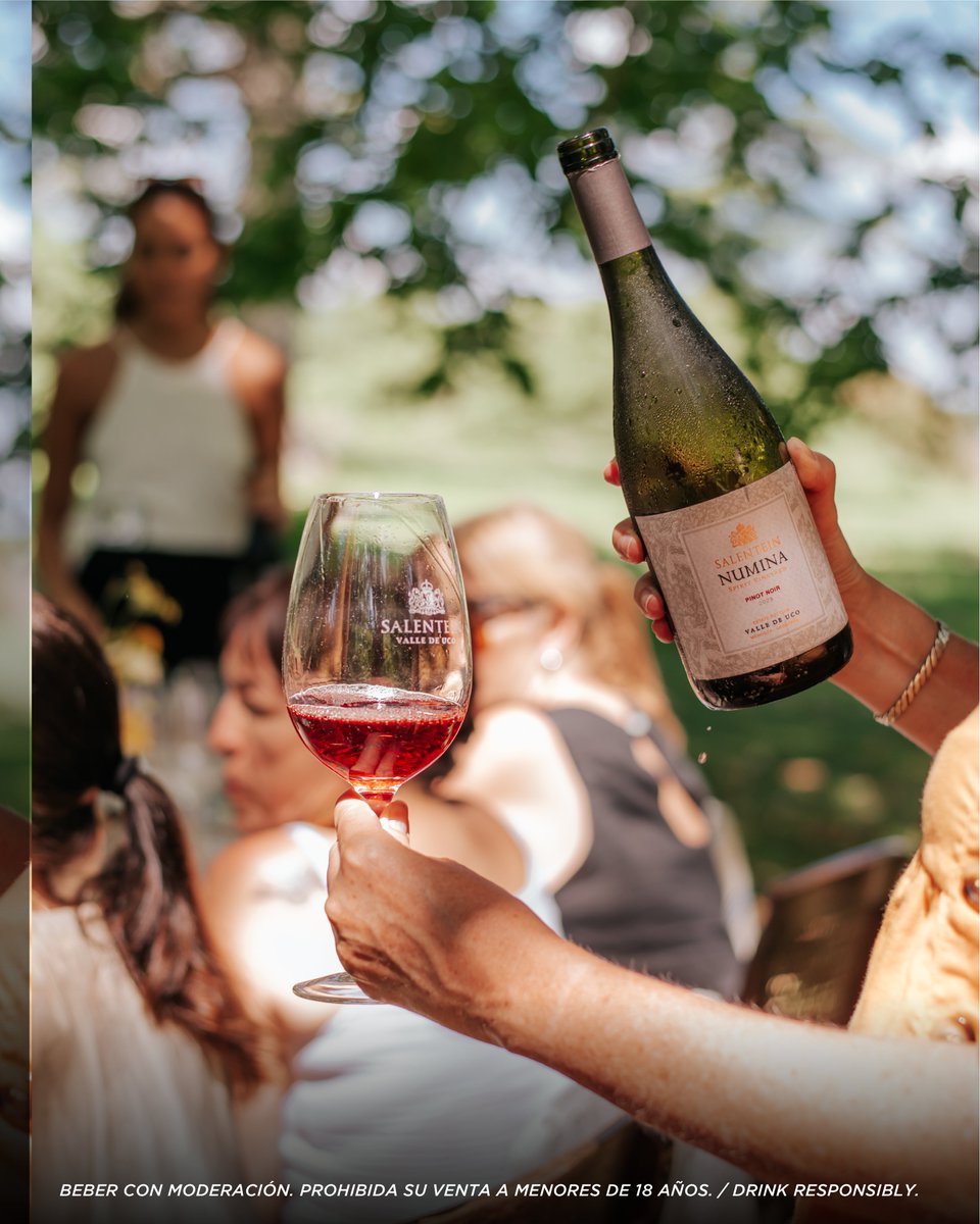 BodegaSalentein's tweet photo. Los días cálidos invitan a elegir vinos sutiles, frescos y llenos de matices.
De perfil delicado y equilibrado, Salentein Numina Pinot Noir fue creado para disfrutar levemente fresco y dejar que cada copa acompañe el ritmo del día.
#Numina #PinotNoir #Salentein #SalenteinWines https://t.co/33bAFoP4m5
