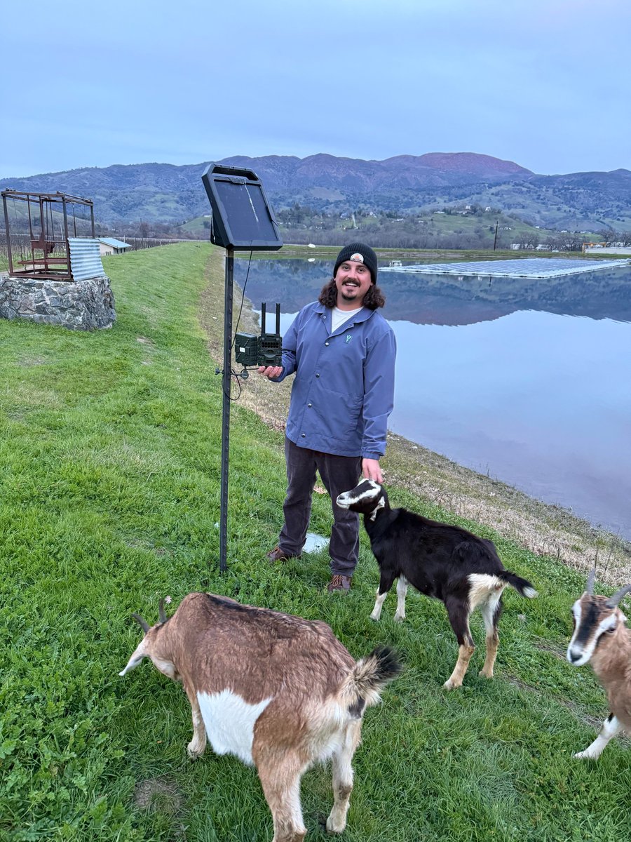 Lisa Cohn tweet media