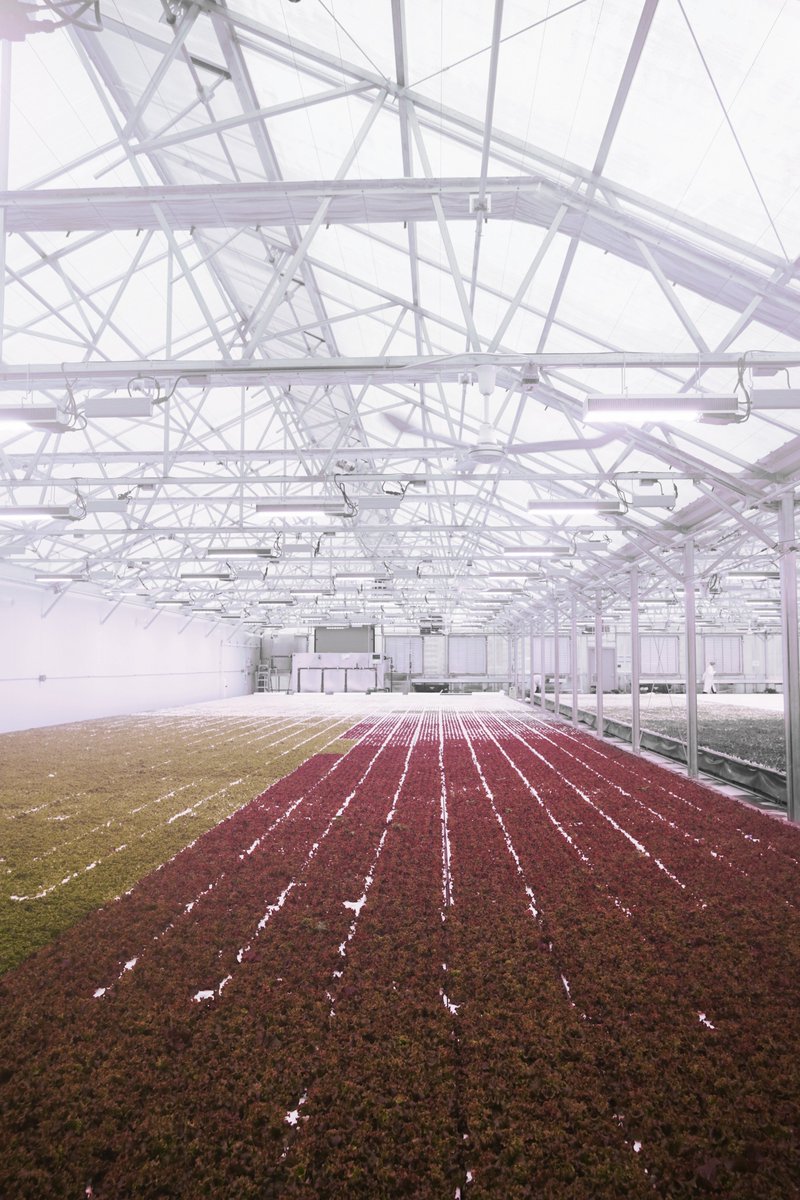 AndersenConstruction tweet media