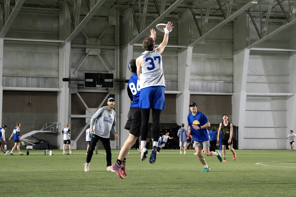 Salt Lake Shred tweet media