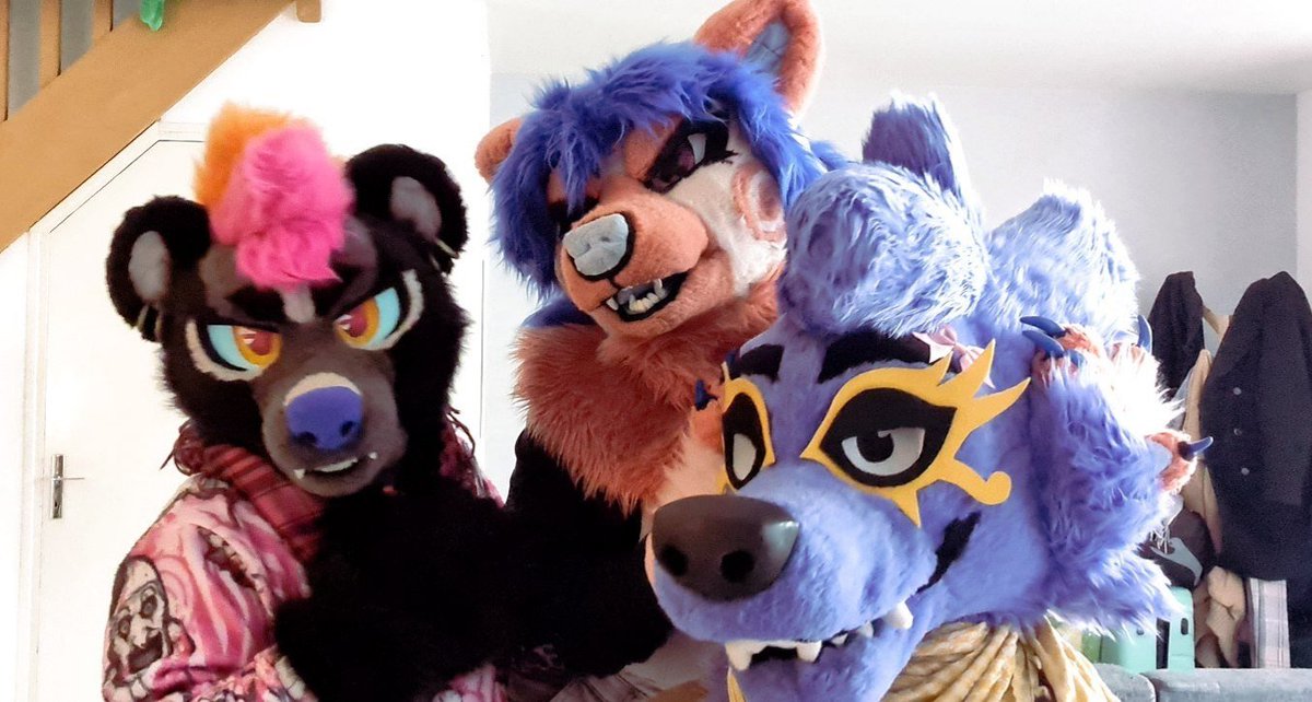 Violet Cross 🐻💤 tweet media