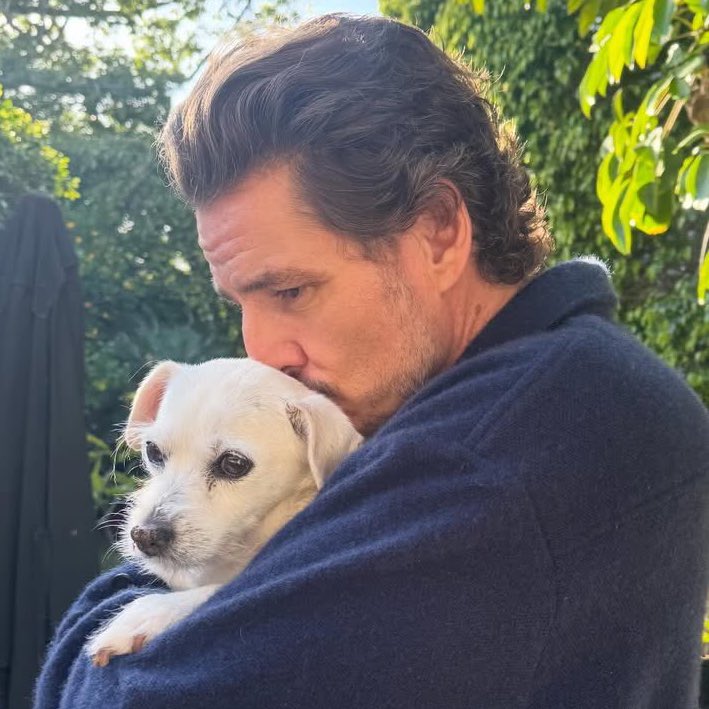 dinosaurpascal's tweet image. 