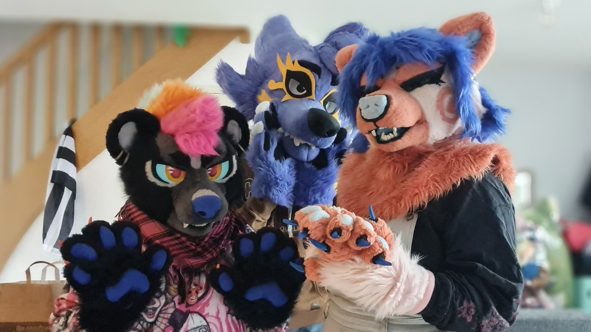 Violet Cross 🐻💤 tweet media