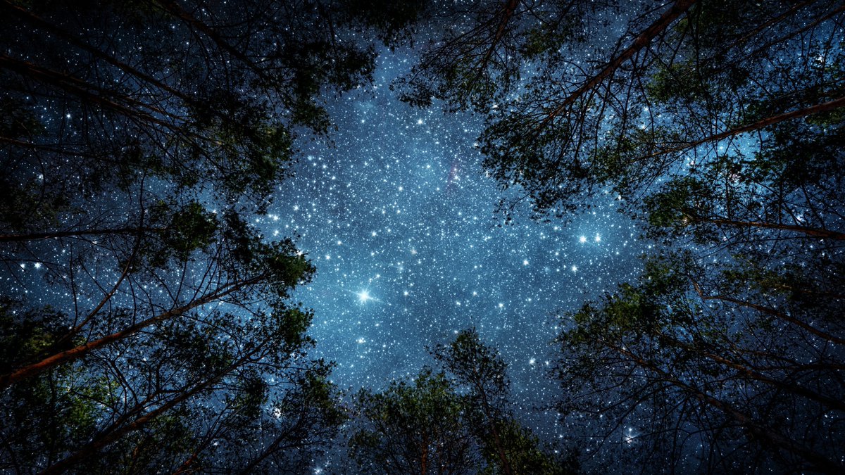 Conservation Halton tweet media