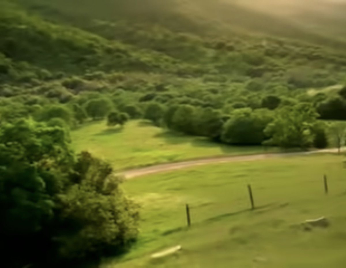 Went on a hike this morning, just look at this view