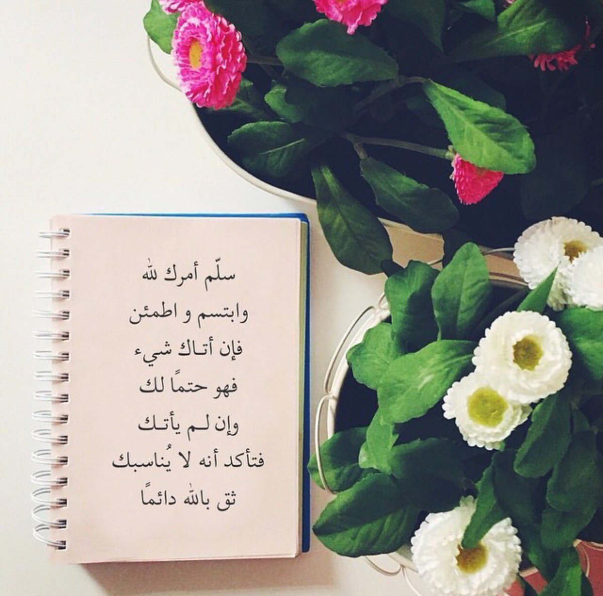 داعيه للخير (@da1234n) on Twitter photo 