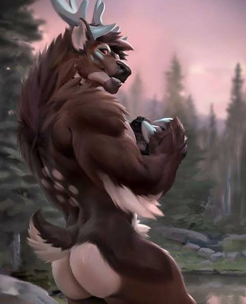 Dumb-old-Reindeer tweet media