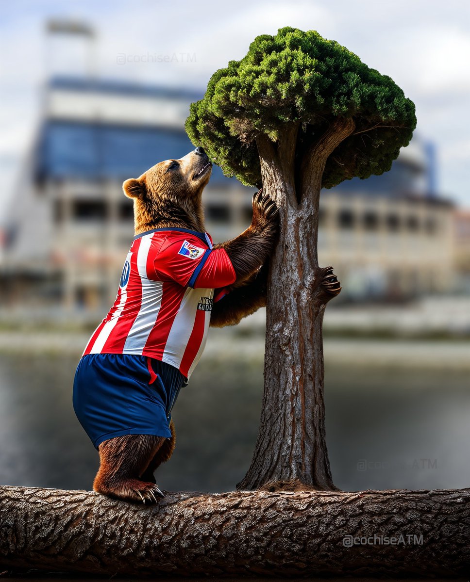 cochiseATM's tweet image. 